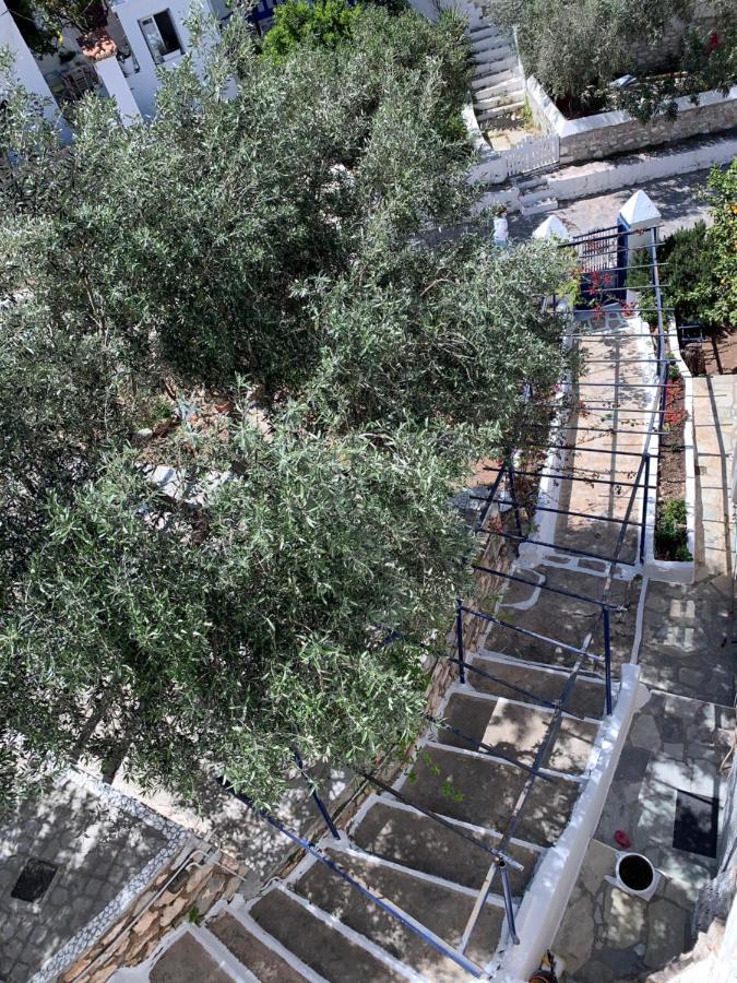 Althea Garden House Villa Hydra  Exterior foto